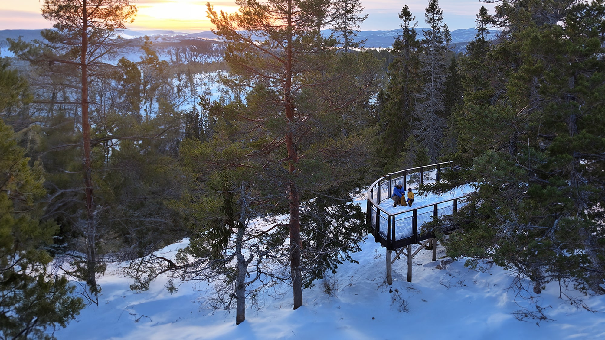 entre väst skuleskogens nationalpark med barn