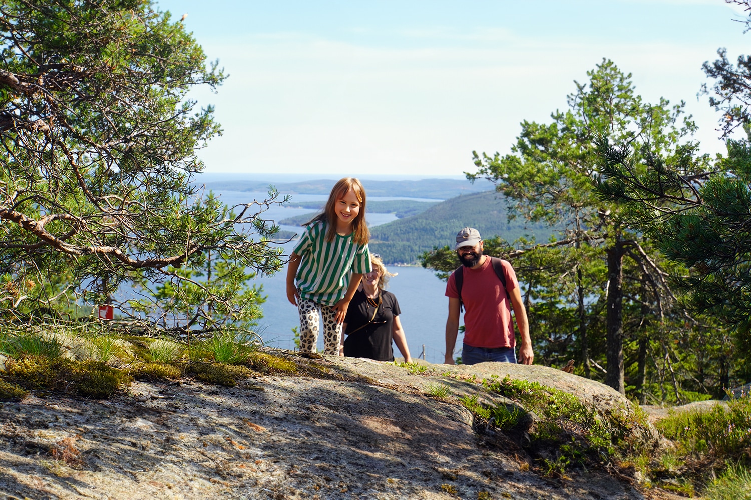 höga kusten i juni